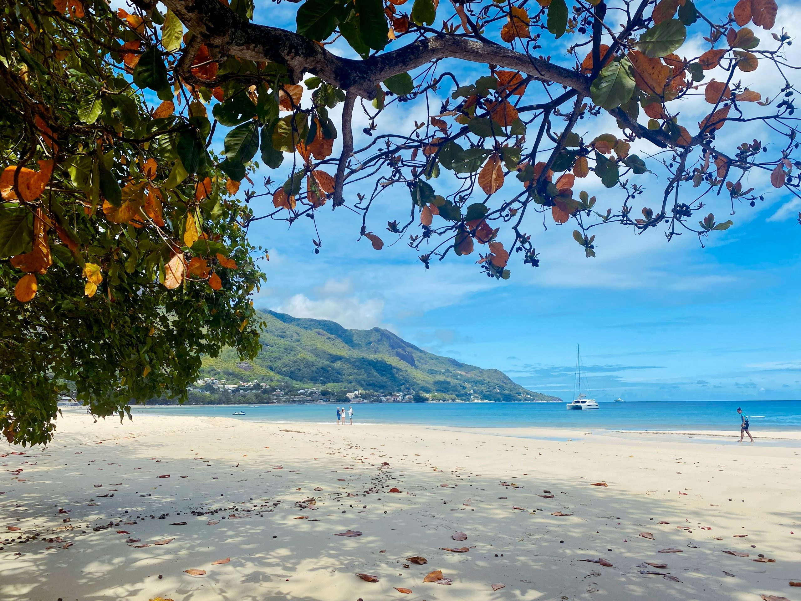 plage beau vallon mahé seychelles