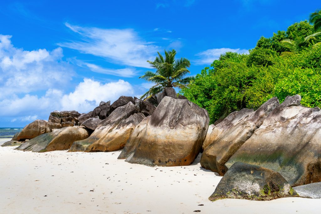 plage grand anse seychelles