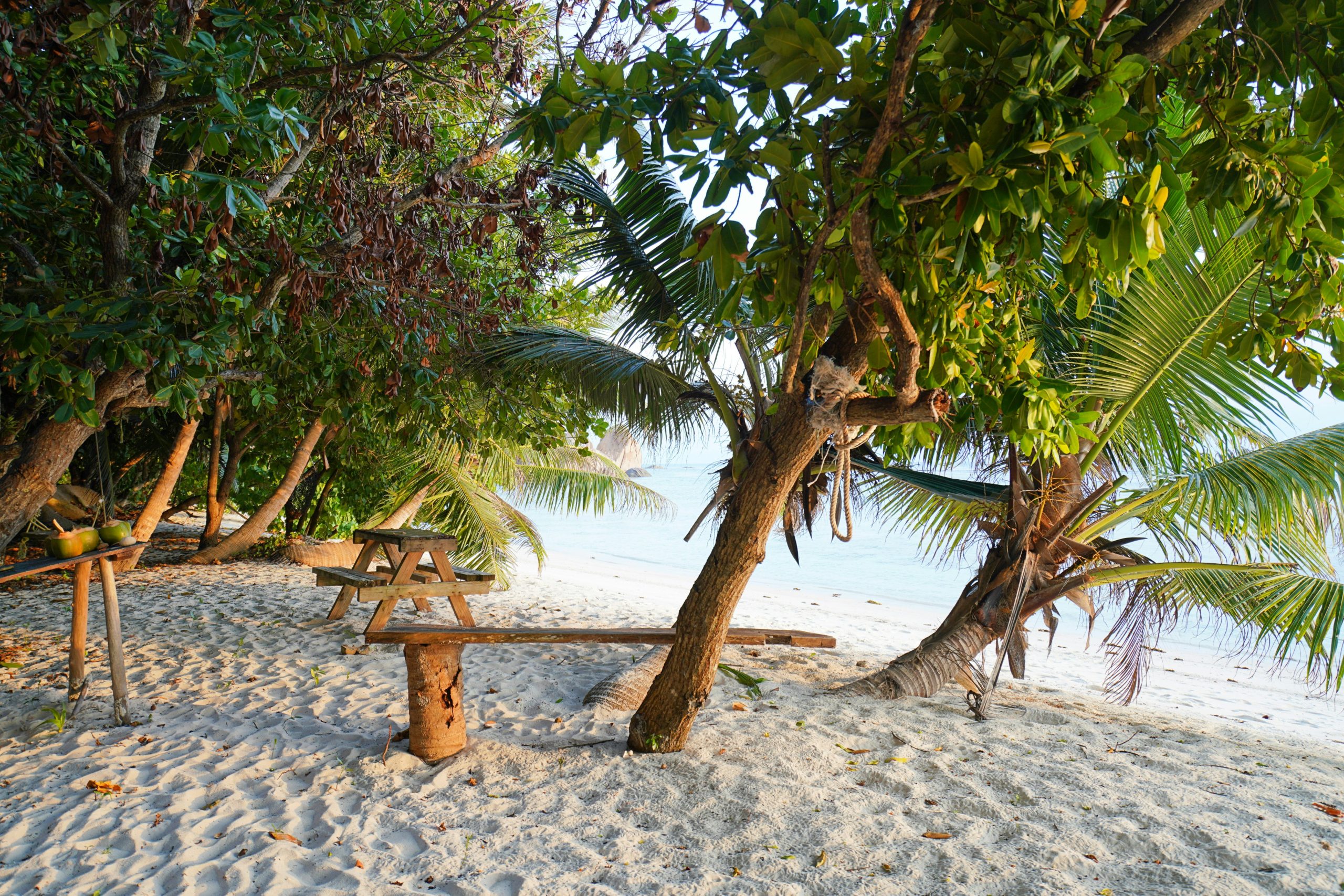 seychelles quand partir